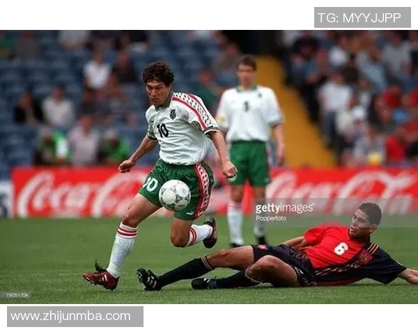 足球明星背后的大牌粉丝群体揭秘与他们的独特魅力分析